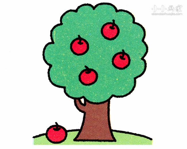 苹果树简笔画画法图片步骤