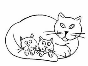 猫妈妈和猫宝宝简笔画画法图片步骤
