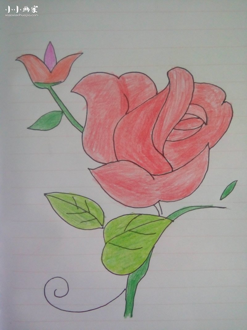 红色玫瑰花蜡笔画作品图片