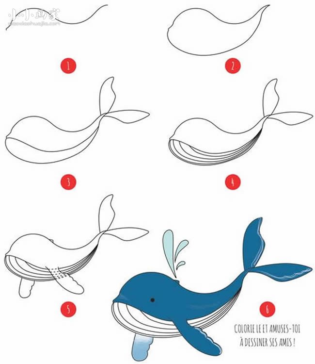 鲸鱼画画笔简步骤画法教程_鲸鱼画画笔简步骤画法图片_
