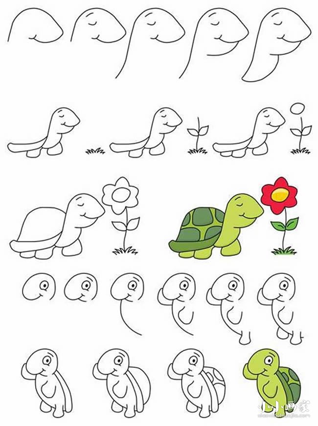 两只乌龟简笔画图片