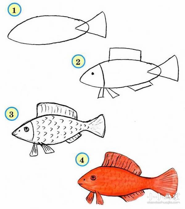红鱼简笔画图片