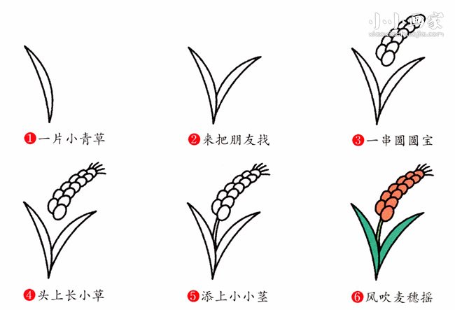 穗子图片画法图片