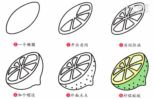 半个柠檬简笔画画法图片步骤