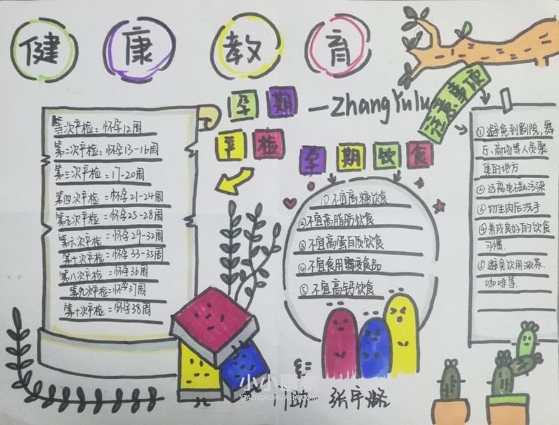 孕期宣教手抄报大学生图片