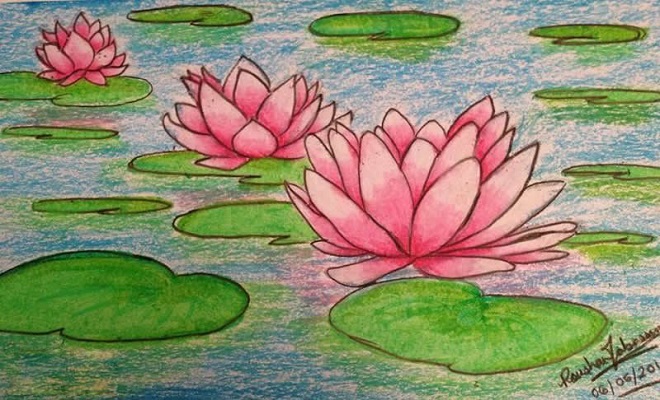 池塘荷花的画法 荷花蜡笔画图片教程素描彩色